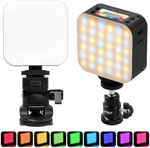 NEEWER Basic Clip-On Selfie Light LED Rechargeable Fill Light for Smartphones, Laptops & Video Calls | Adjustable Brightness & Color Temperature